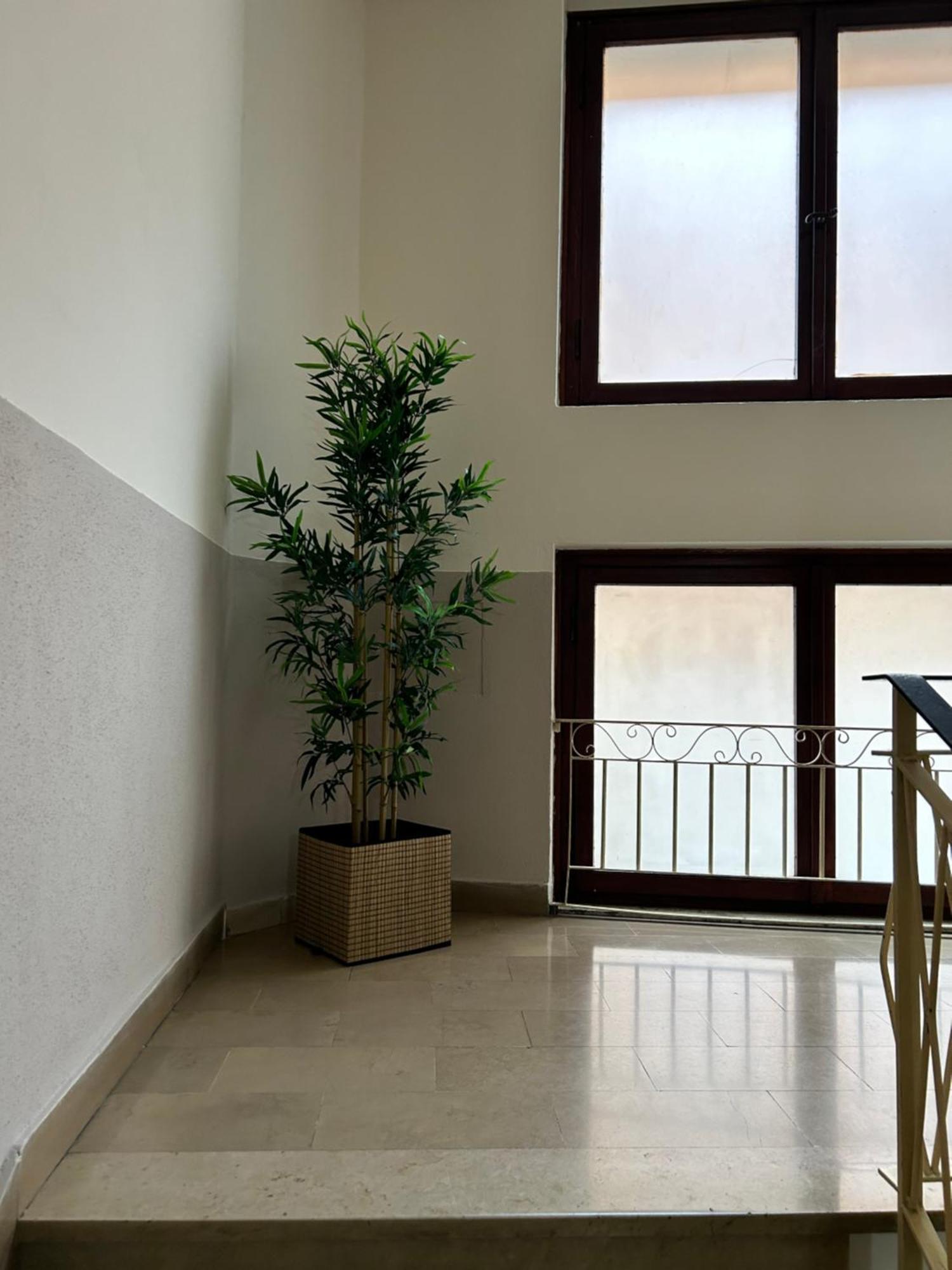 Hotel Cecile Pisa Dış mekan fotoğraf